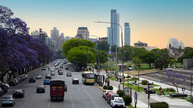 שדרה עם עצי ג'קרנדה בבואנוס איירס